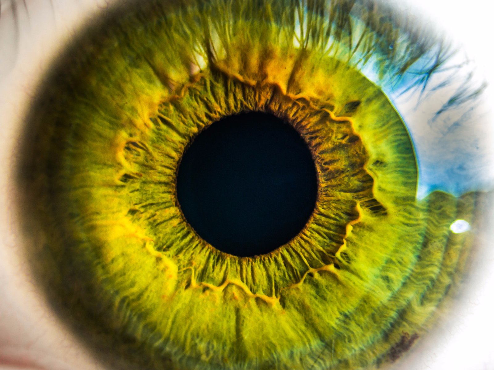 گلگسیs8مجهزبه تشخیص عنبیه چشم وامنیت اش از اثرانگشت بیشتر است
